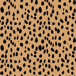 Meet your Posher, Kaelie